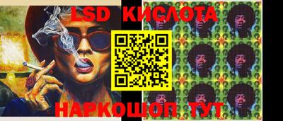 бошки Гатчина