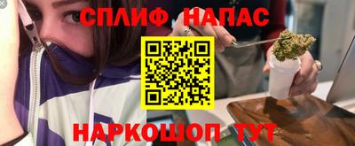 бошки Гатчина