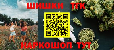 бошки Гай