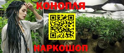 бошки Гай