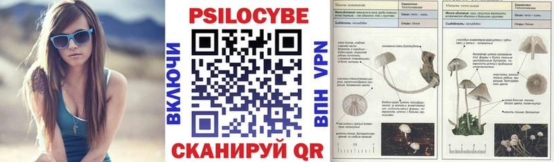 где продают наркотики  блэк спрут ссылки  Галлюциногенные грибы Psilocybine cubensis  Кемерово 
