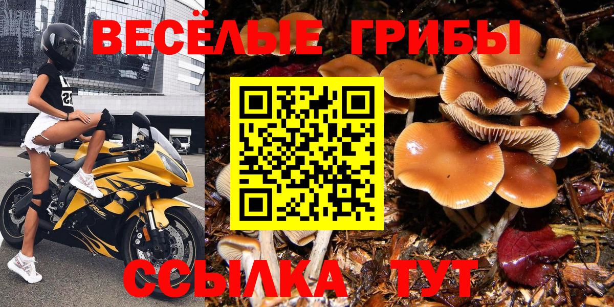 Кемерово  Галлюциногенные грибы GOLDEN TEACHER  Вход с VPN 