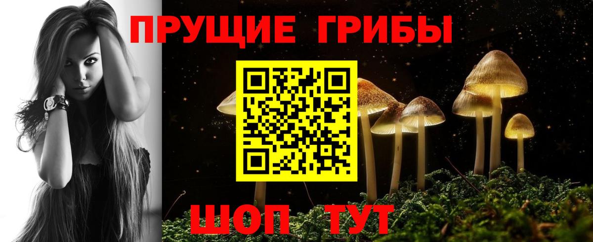 Псилоцибиновые грибы прущие грибы Кемерово